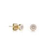 925 Silver Diamond Enamel Stud with thick gold plating