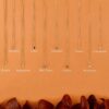 925 Sterling Silver Solitaire Black Onyx Necklace - Image 5