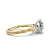 Solitaire ring with 24 round side stones and polished band