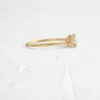 Engagement ring with elevated setting and smooth band