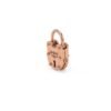 25MM lock ring with a distinctive open-and-close closure