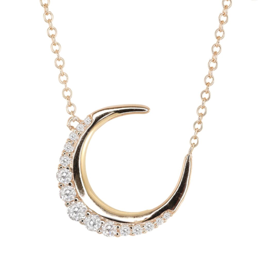 925 Sterling Silver Diamond Starlit Crescent Moon Necklace