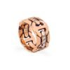Modern ring with a traditional wall silhouette and linked look